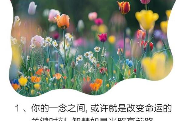 姑娘问我她是什么命，探寻命运背后的秘密与智慧