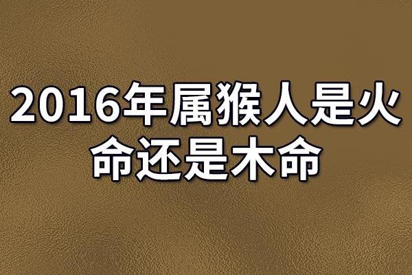 七五年生的人属什么命？揭秘他们的命运与人生