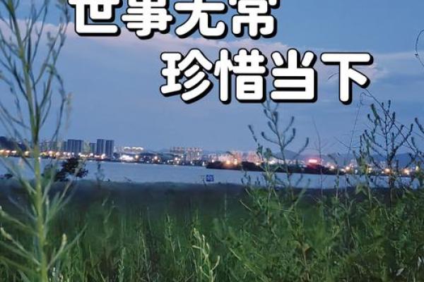 父亲意外去世的命运：生命无常，情感永存