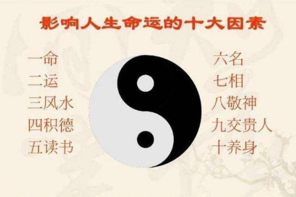 探秘古老智慧：有一命换一命的口诀探讨与思考