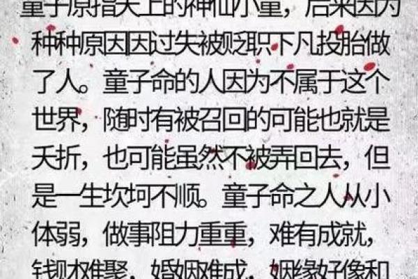 探秘儿童命理：童子命的特征与影响，如何影响孩子的成长与发展？