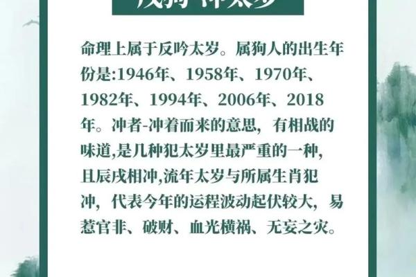 2018年宝宝命运解析：解密属狗孩子的潜力与未来