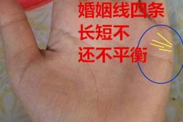 23岁属什么命？看这里揭开你的命运之谜！