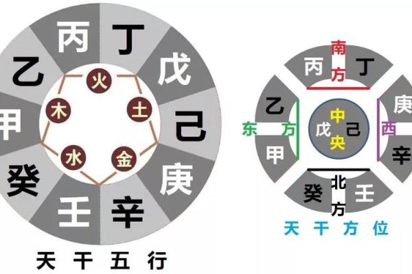 揭秘农历1991年——属于金命的秘密与人生启示
