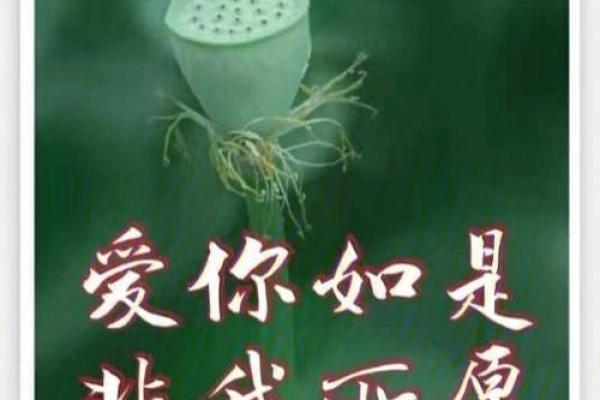 生命的美好:在平凡中发现非凡的力量 生命的美好:在平凡中发现非凡的力量