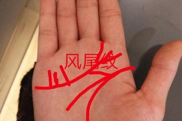 探寻命运之谜：如何通过日月判断人生方向