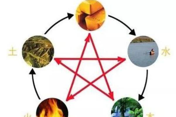 探秘木命女人的独特魅力与个性特征