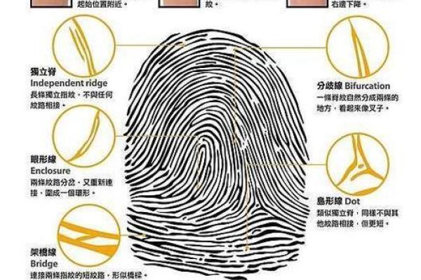 男生十簸箕是什么命？揭示命理的奥秘与人生轨迹