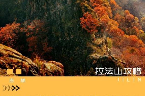 不论姓什么，命都好的人生哲学与追求的美好旅程
