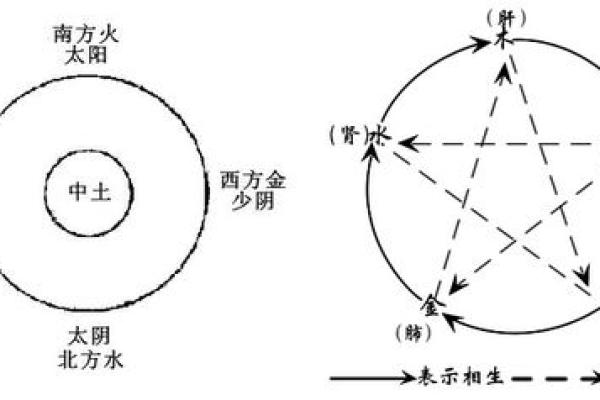 2023年老鼠的命运：揭开五行之谜与生活的启示
