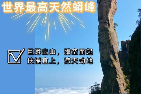 壬寅仙命:埋什么向山,助你找到人生方向! 壬寅仙命:埋什么向山,助你找到人生方向!