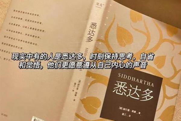 碧玉命的深意：探索人生的独特轨迹与智慧启示