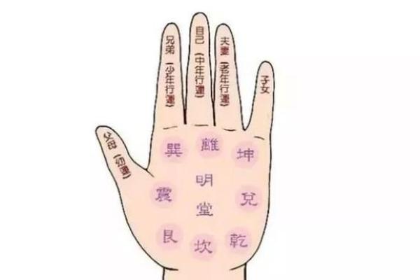 62岁属鸡的命运分析与人生智慧