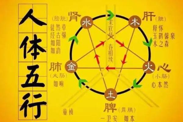 探秘本命命格：身偏强金命的深刻含义与影响