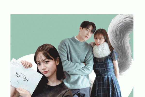 1988年12月出生的你:命运与性格的奇妙交融 1988年12月出生的你:命运与性格的奇妙交融