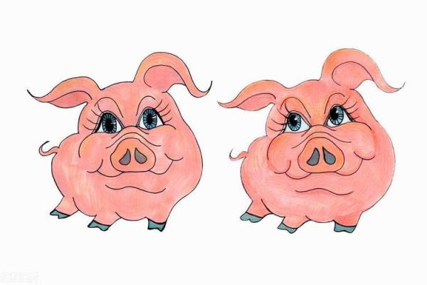 44岁属猪的命运解析:一探生活中的幸运与挑战 44岁属猪的命运解析:一探生活中的幸运与挑战