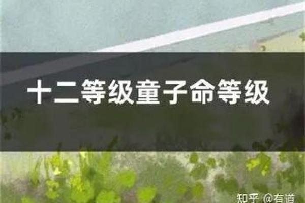 探秘童子命:那些无可奈何的命运与命理真相 探秘童子命:那些无可奈何的命运与命理真相