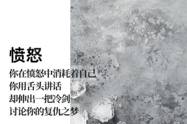 26岁：探索人生的十字路口与命运的转折点