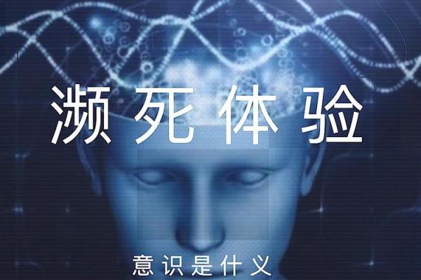 为何选择出家:灵魂的归宿与人类的觉醒 为何选择出家:灵魂的归宿与人类的觉醒