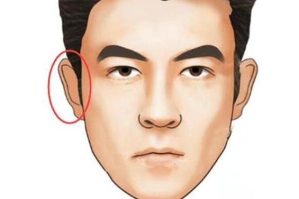 探秘男人的狐狸眼:你知道它背后的命运象征吗? 探秘男人的狐狸眼:你知道它背后的命运象征吗?