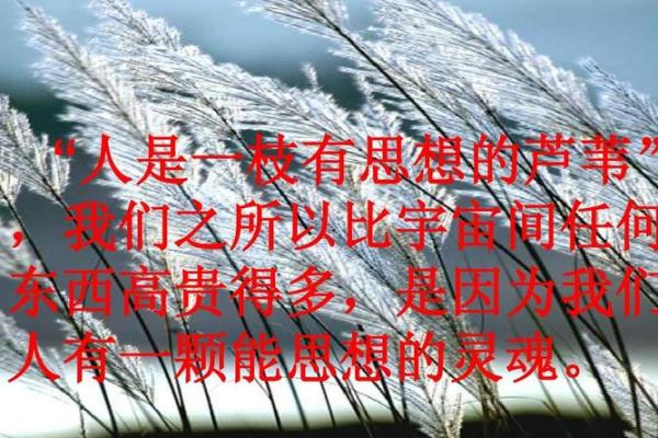 命理解密：高贵之人背后的秘密与智慧