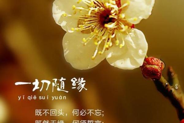 50岁女人的命运：智慧与魅力的融合篇章