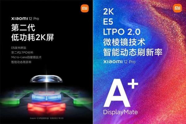 小米指头短的人命运解析：指尖的秘密与人生的轨迹