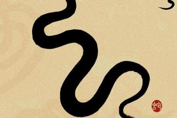 1997年蛇年命运分析:揭开神秘的生肖之谜 1997年蛇年命运分析:揭开神秘的生肖之谜