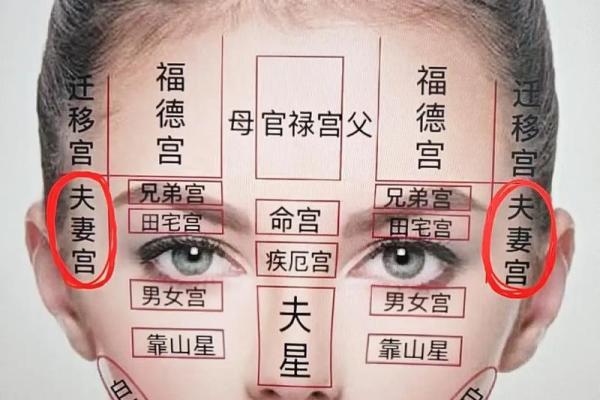 相由心生，命由念转的深意探讨与生活启示