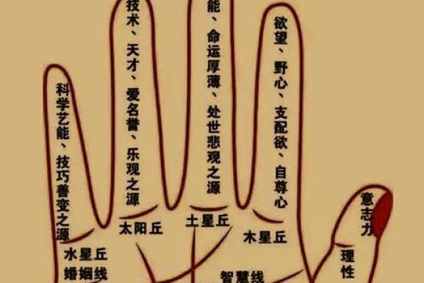 探秘富贵长寿命:揭开人生背后的秘密与智慧 探秘富贵长寿命:揭开人生背后的秘密与智慧