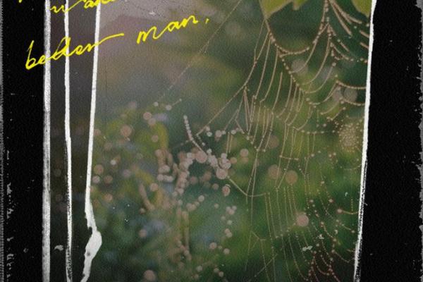 探秘辛酉年的木命与命理之美：自然与人生的和谐之道