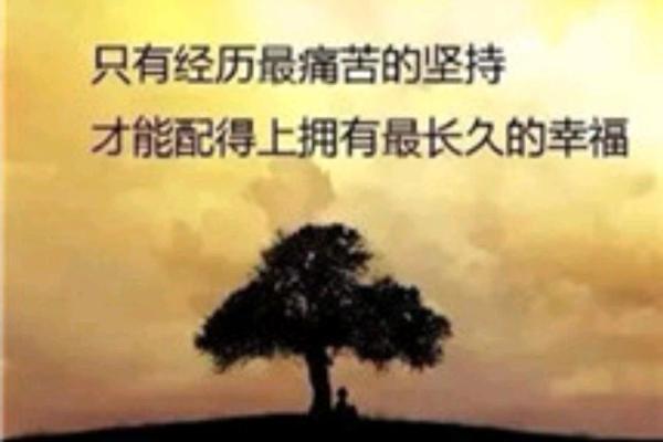 探秘辛酉年的木命与命理之美：自然与人生的和谐之道