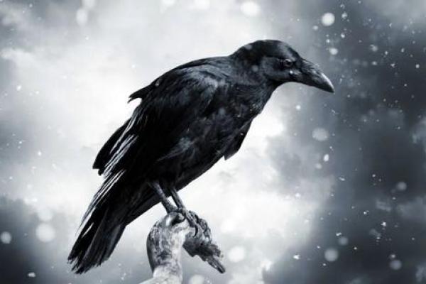 雷劈不死的人是什么命？破解神秘命运的背后故事！