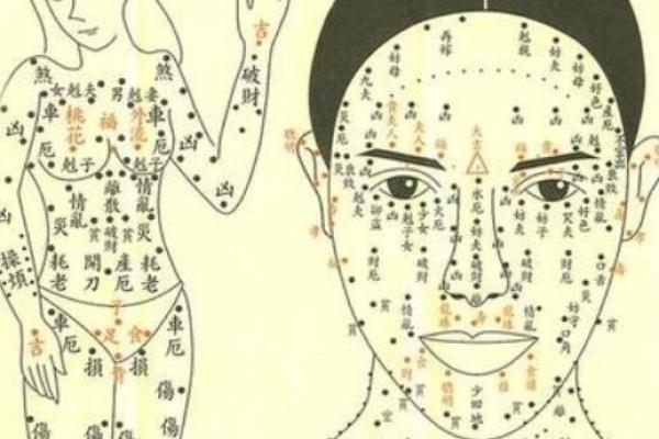 破解女命八字缺官的命格之谜，掌握运势秘钥！