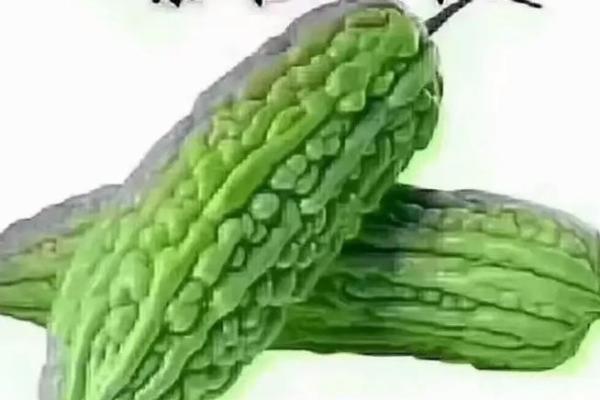 逆境中的挑战：为何我仅需两条命，别人却有五条命？