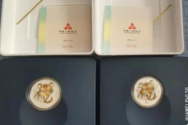 探秘壬申虎年:适合哪些命格,带来好运与机遇? 探秘壬申虎年:适合哪些命格,带来好运与机遇?