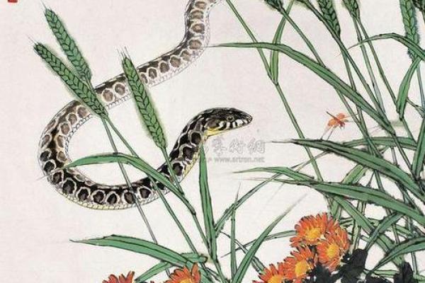 65年属小龙的命运与性格解析：揭示他们的独特魅力与人生道路