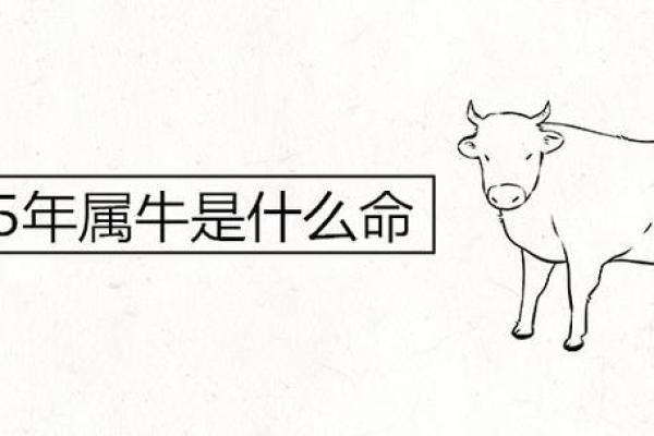 73年属牛人的命理解析与人生运势