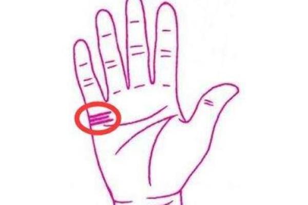 女人右手斗纹与命运的秘密探究