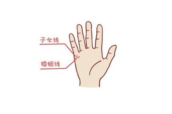 女人右手斗纹与命运的秘密探究
