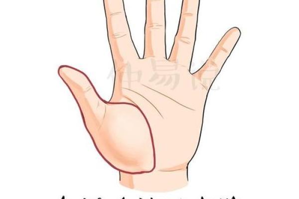 探秘右手大拇指的命理密码:你的命运从指尖开始! 探秘右手大拇指的命理密码:你的命运从指尖开始!