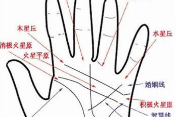 揭开手相三线的神秘面纱:命运的指引与人生的解读 揭开手相三线的神秘面纱:命运的指引与人生的解读