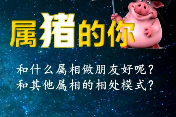 59年属什么生肖？揭秘属猪人的命理与性格特征！