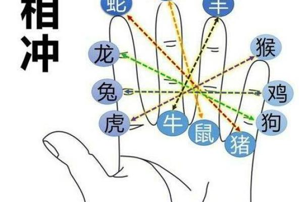 女命子午相冲的深刻解读与命理启示