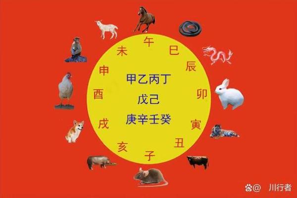 女命地支与生肖的绝妙联系与人生启示