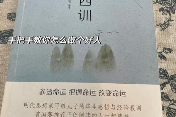 82属狗人的性格与命运解析：忠诚与智慧的结合