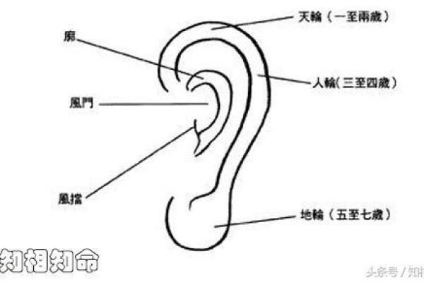 女性没有耳垂的命运解析：她们的独特之路与人生智慧