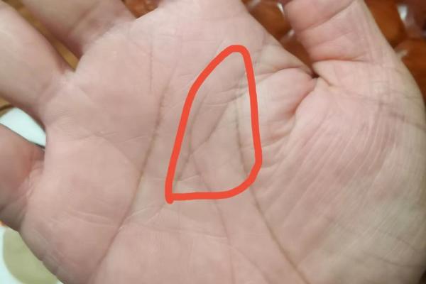 女人手纹粗糙：探索命运的秘密与未来的转机