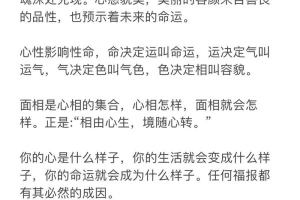 命天也：揭示命运背后的深意与启示