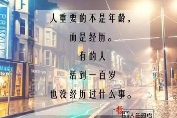 钱如命，生命中的财富与智慧之道